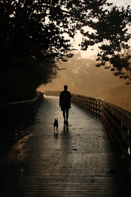A person walks along a wooden boardwalk accompanied by a small dog. The boardwalk is surrounded by lush trees, and the scene is backlit by a soft, golden light which creates a silhouette effect.