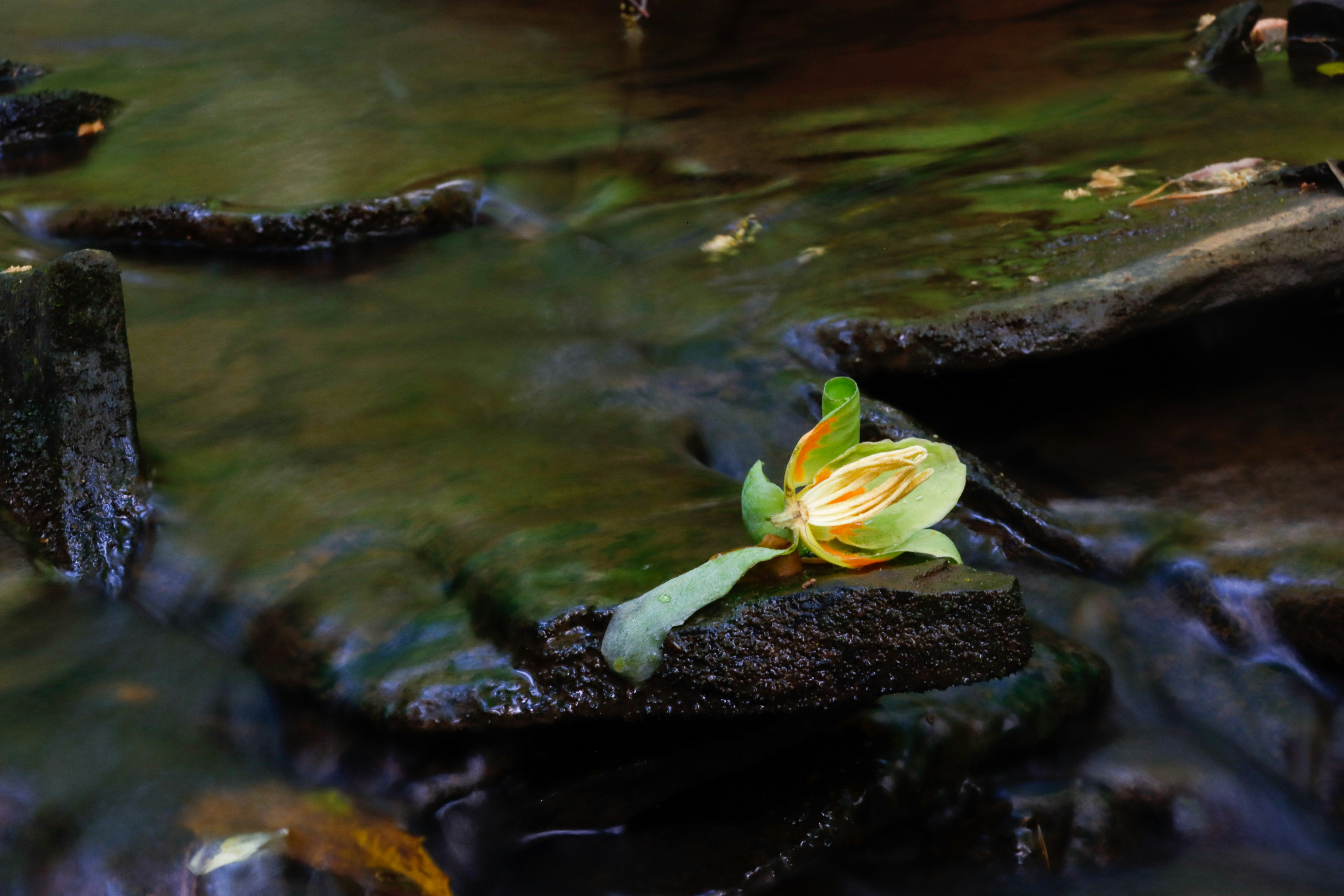 Photo by alla_kemelmakher