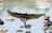 A bird is captured mid-flight with wings fully spread outward while other birds are around it standing on rocks in a body of water. The background includes reflections on the water and blurred elements suggesting a natural habitat.