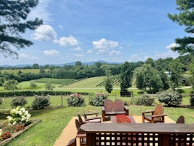 A scenic view of a vineyard with rows of grapevines stretching across the landscape. The foreground features a patio area with wooden chairs arranged around a central table. Flowering bushes and a well-maintained lawn surround the seating area. In the background, rolling hills and a line of trees create a lush, green horizon under a partly cloudy sky.