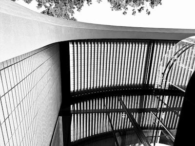 An abstract architectural scene depicting a ceiling with a grid-like structure and a curved glass section. The view includes geometric patterns created by vertical lines and a series of interlocking beams. Above is a bright sky with leaves visible, adding contrast to the structured elements.