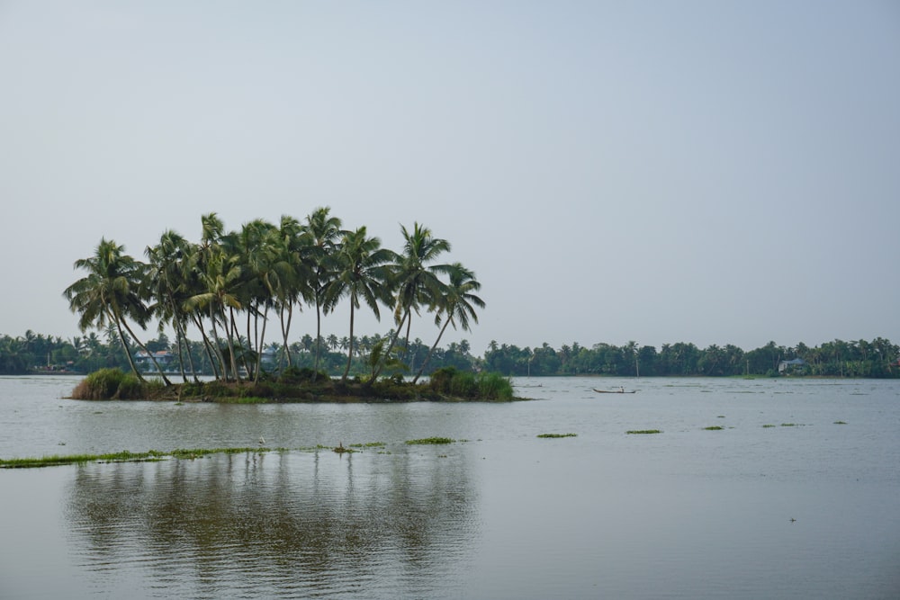 a body of water with a small island surrounded by palm trees