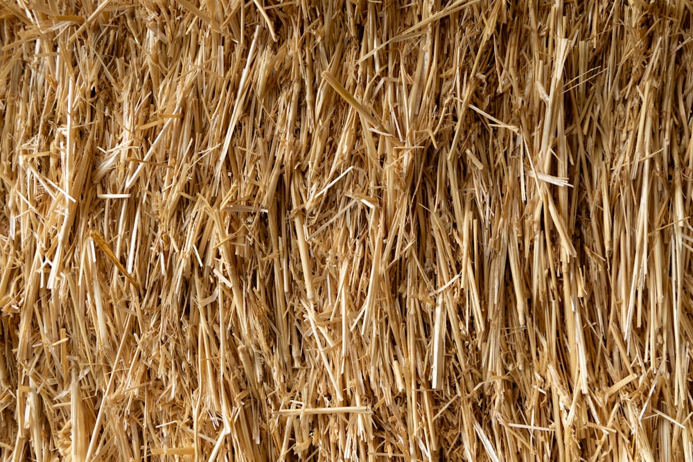 a close up of a pile of hay