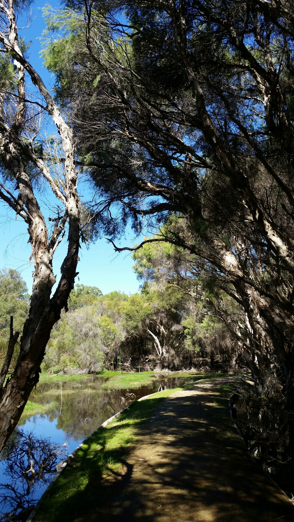 a path that is next to a body of water