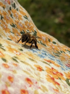 Bee Happy Tee