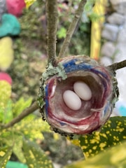 A small, intricately woven bird nest nestled among branches and leaves, containing two white eggs. The nest appears to be made of various natural and synthetic fibers, displaying a mix of earthy and bright colors like blue and red. The surrounding leaves are green with yellow speckles, creating a lush background.