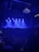 A concert venue filled with people, all facing a stage that is illuminated by blue lights. On the stage, microphones and musical equipment can be seen, set up for a performance. A large, ornate chandelier hangs from the ceiling, adding to the atmosphere.