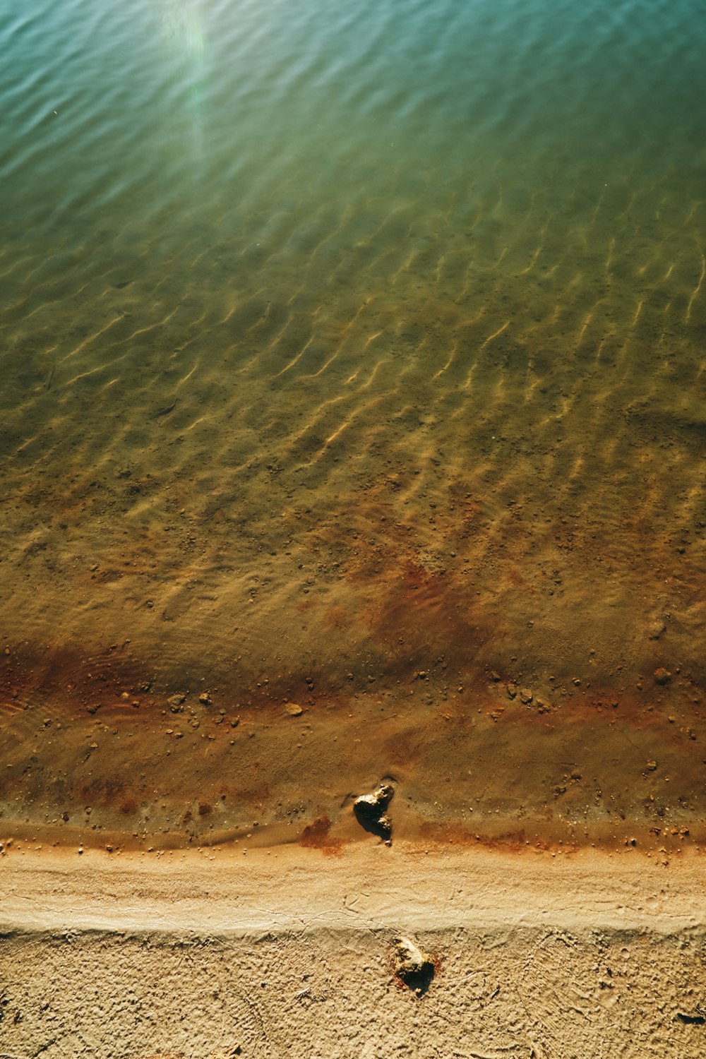 a couple of birds sitting on top of a sandy beach