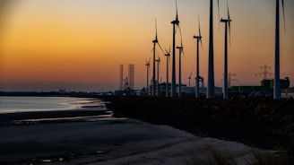 Wind turbines spinning on a coastal landscape during sunrise.