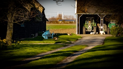 A rural scene with a gravel path leading to a barn where two green tractors are parked. The foreground features a grassy area with daffodils and a blue piece of agricultural machinery. Several geese are present on the grass and near the barn. Trees provide partial shade, and there are open fields in the background under a clear sky.