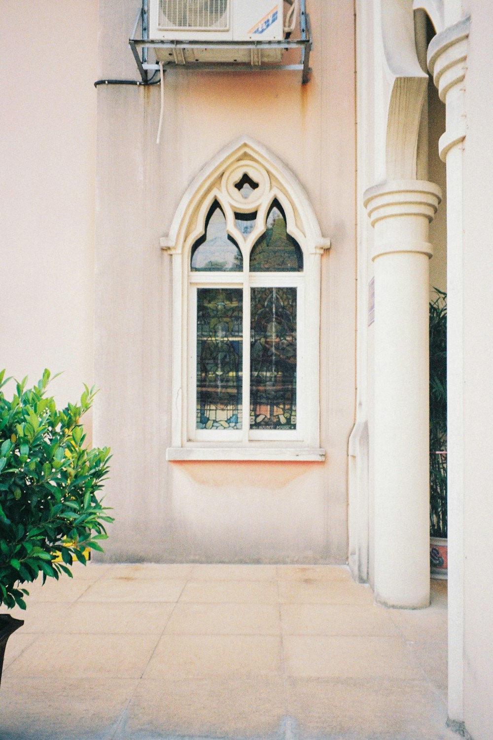 a building with a window and a plant in front of it