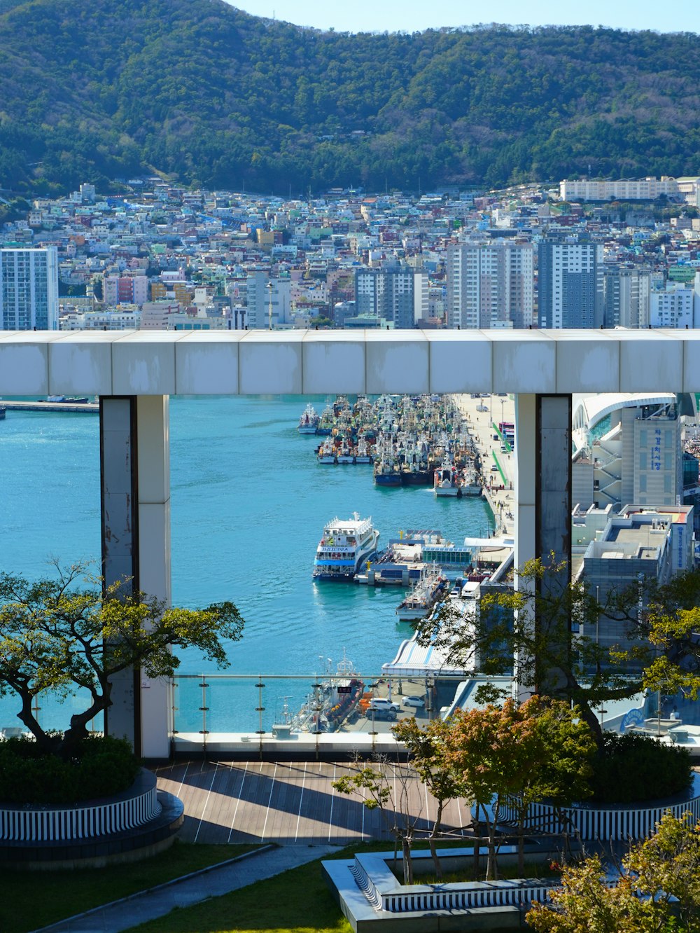 a view of a harbor and a city from a hill