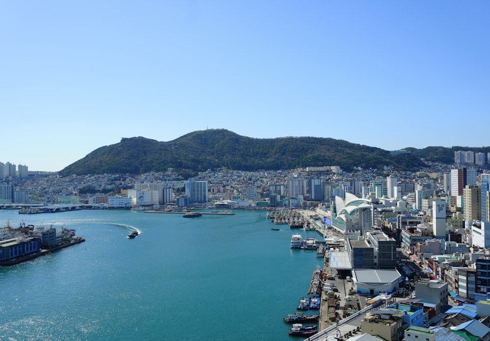 a large body of water surrounded by tall buildings