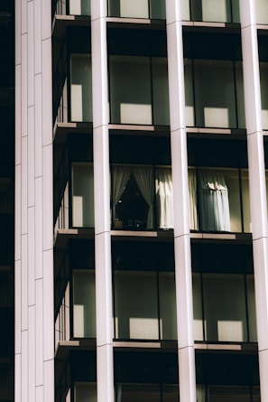 Close-up of sleek aluminium window frames reflecting sunlight in a modern home.