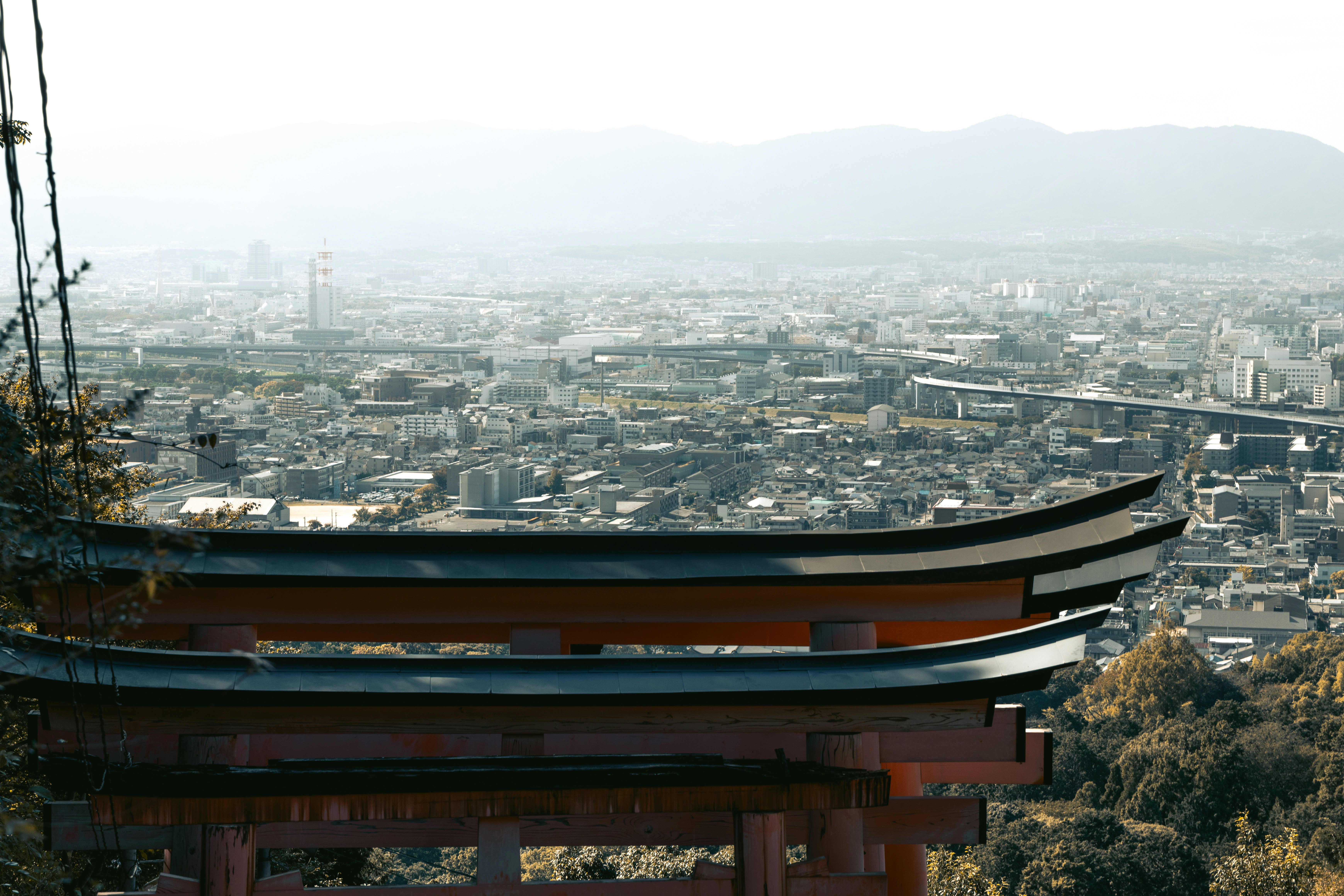 出國訂票、訂旅館也要會！家庭與親屬日文稱呼慢速會話教學