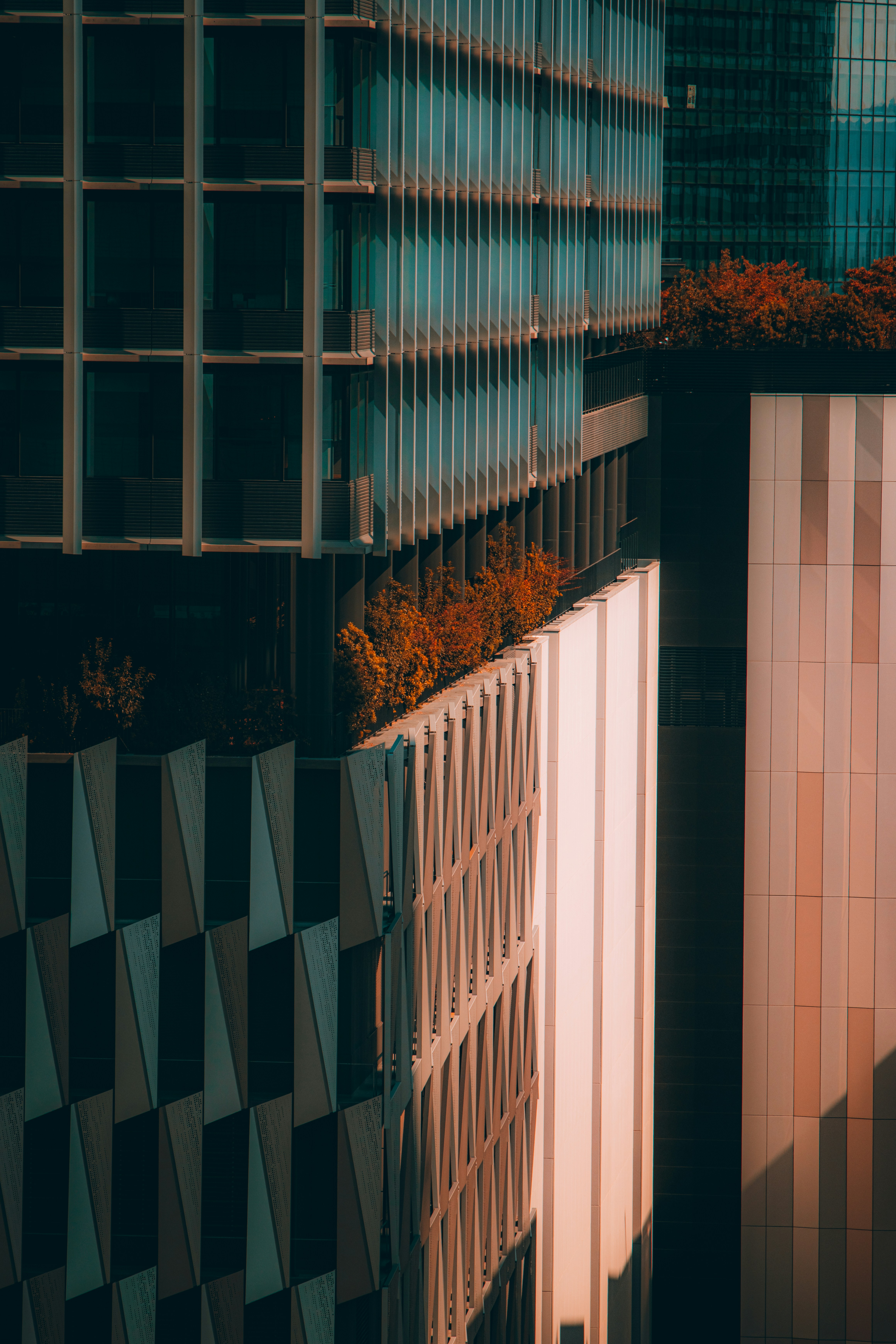 Photo by hiroyukisenn