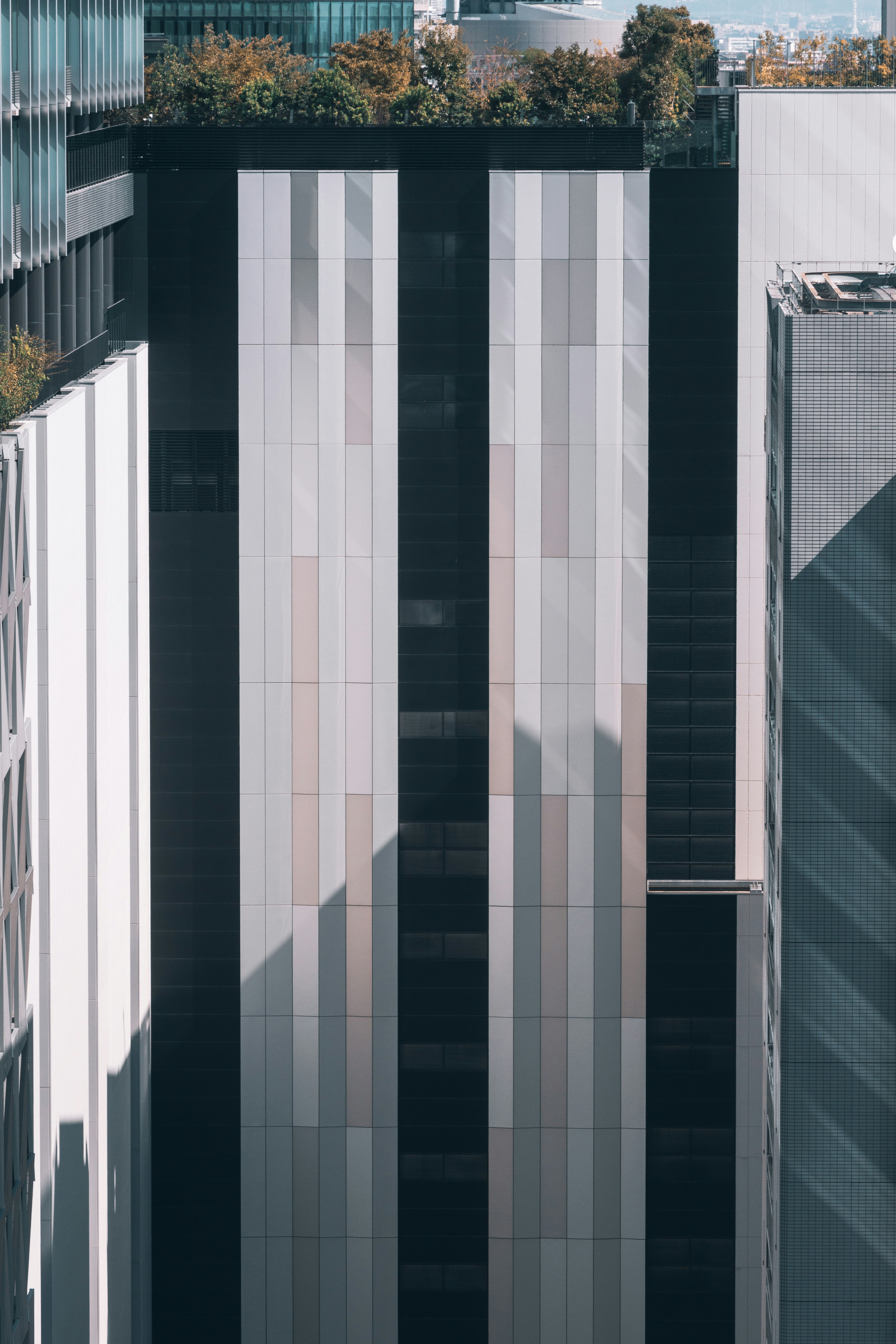 Photo by hiroyukisenn