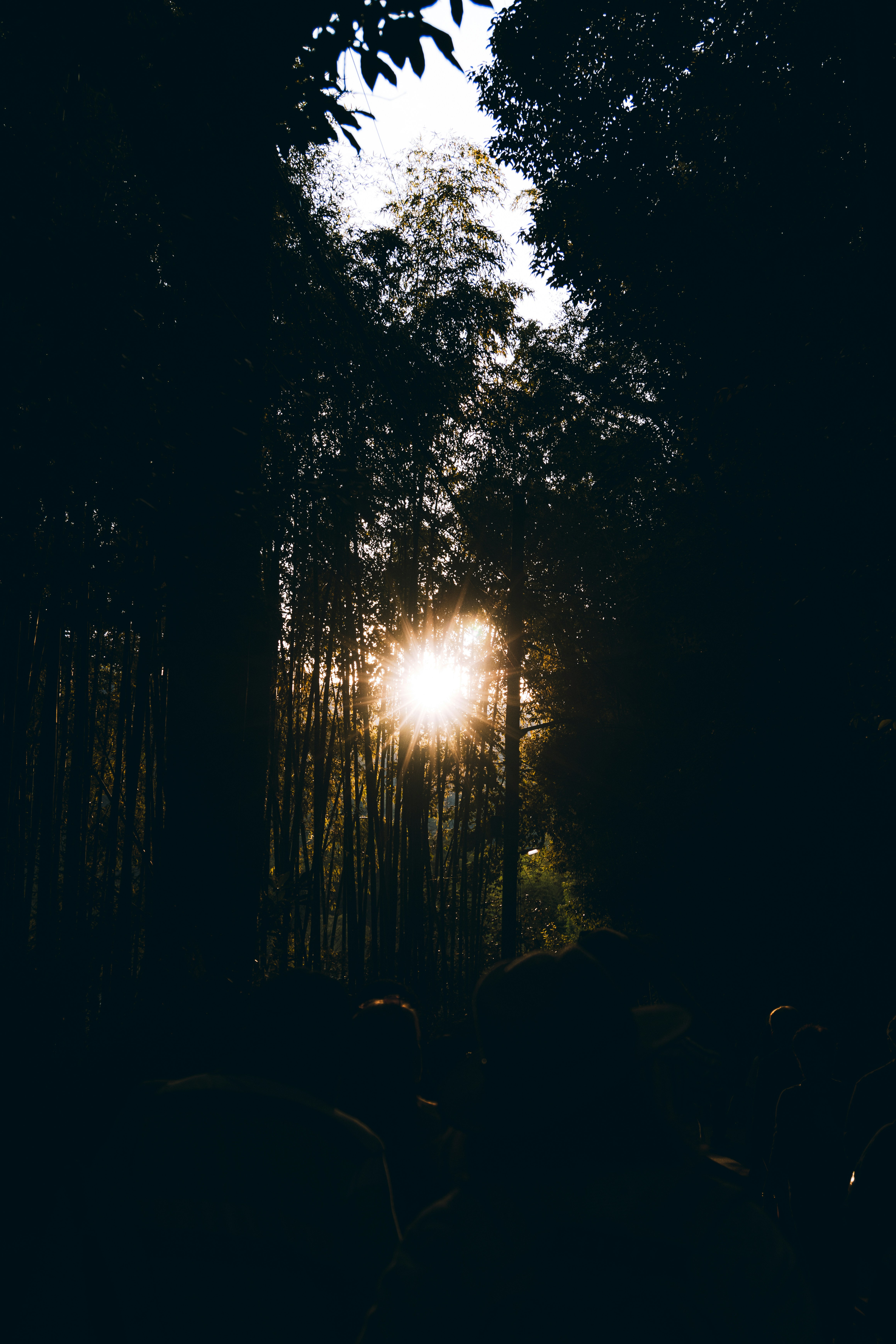 Photo by hiroyukisenn