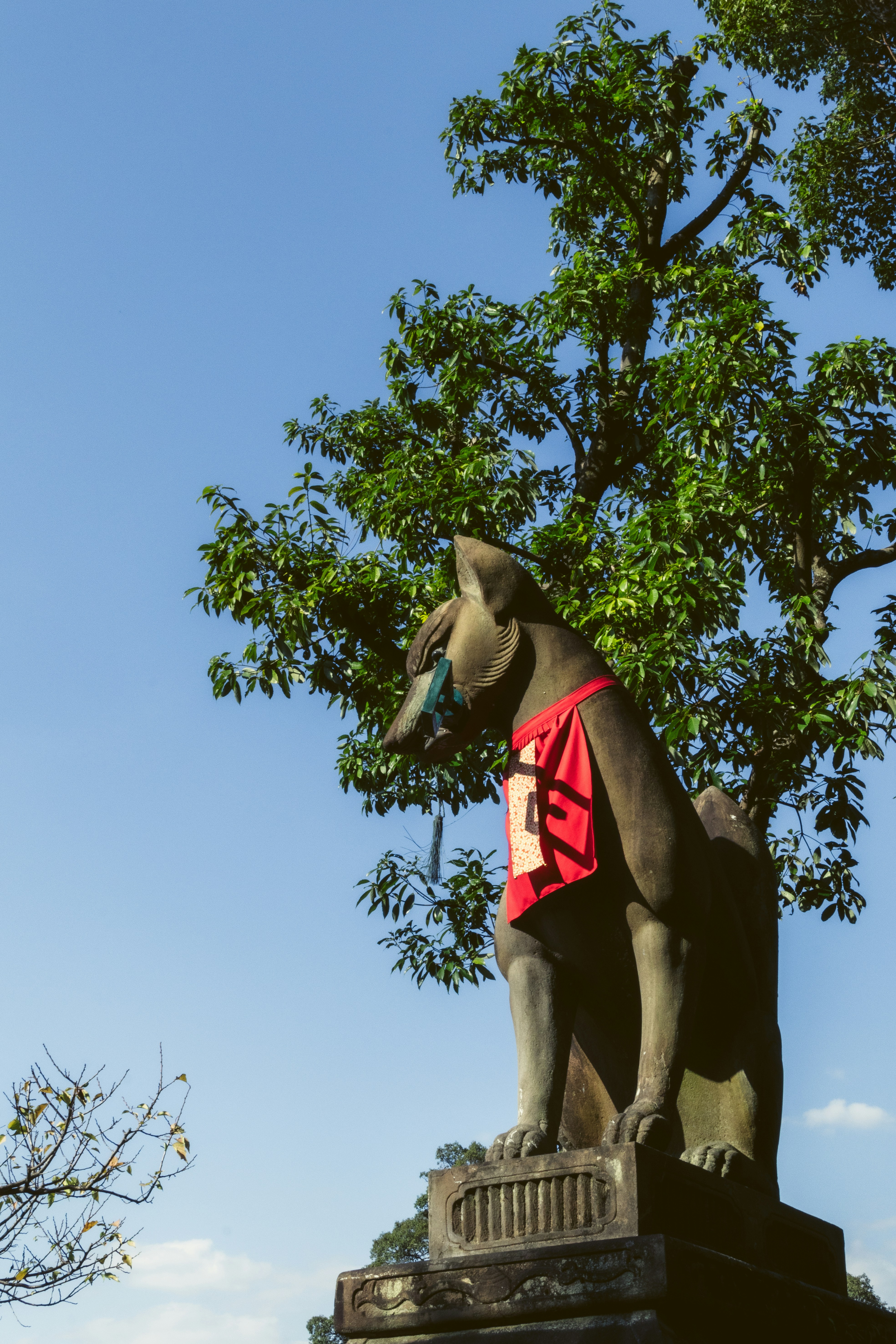 Photo by hiroyukisenn