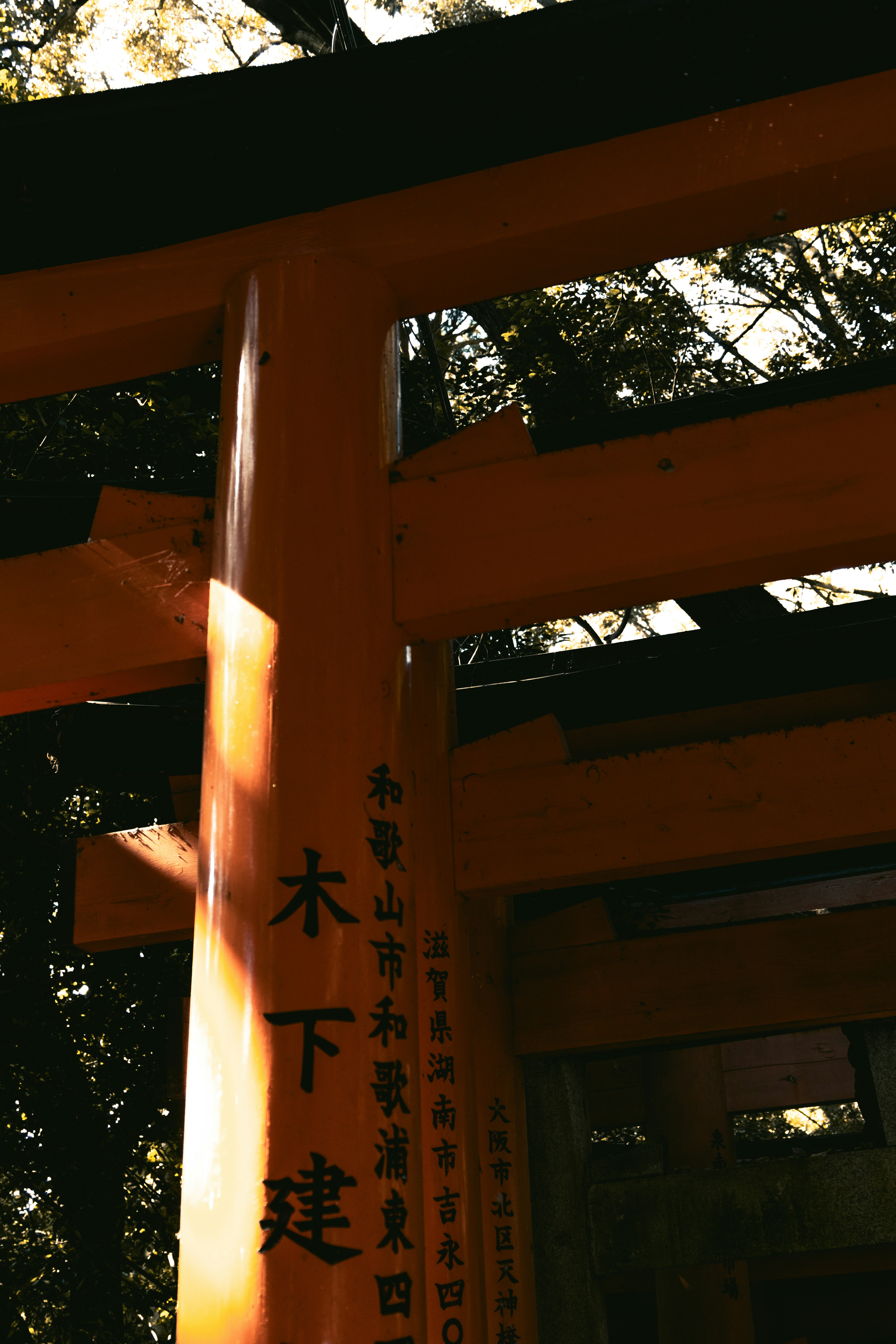 Photo by hiroyukisenn