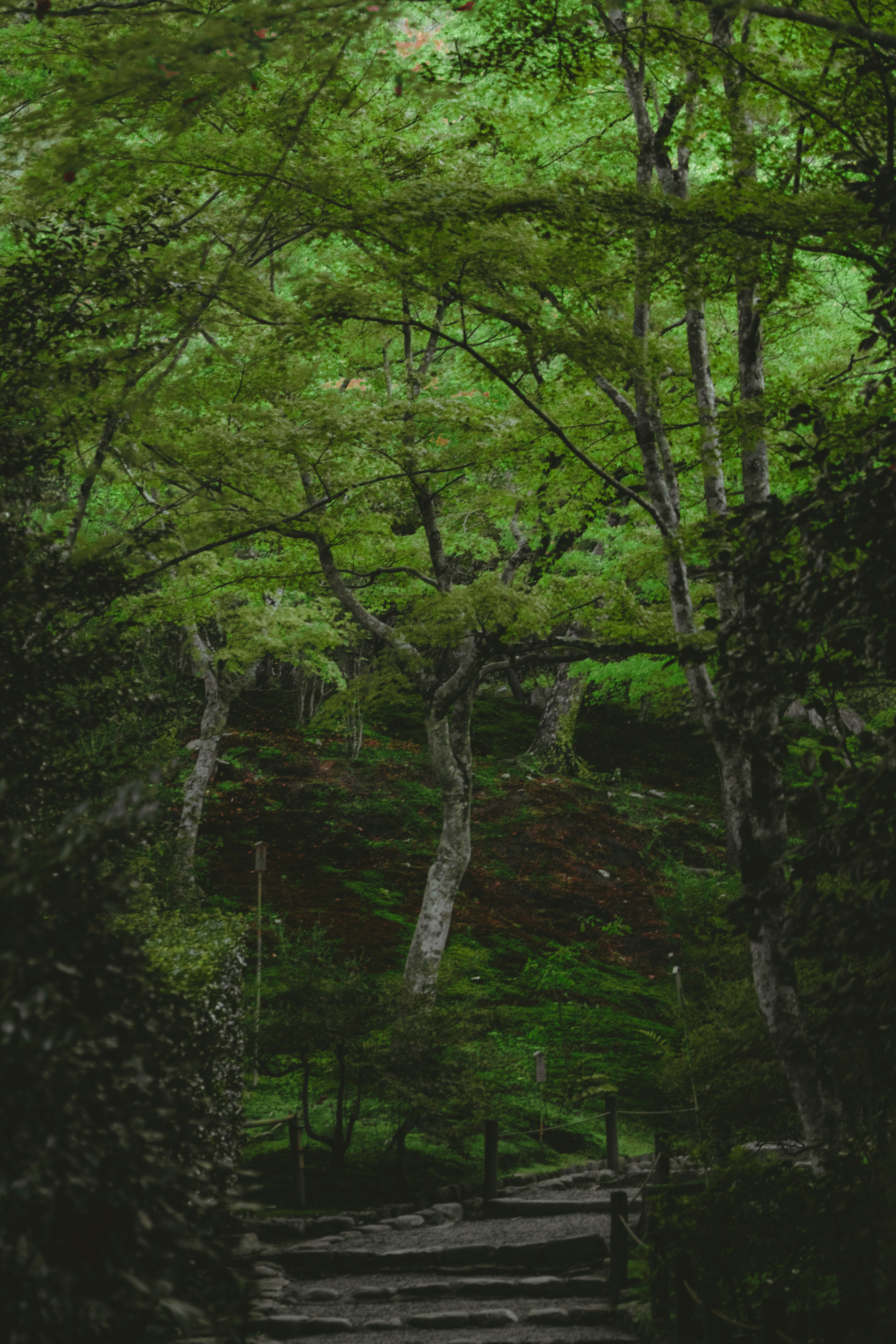 Photo by hiroyukisenn