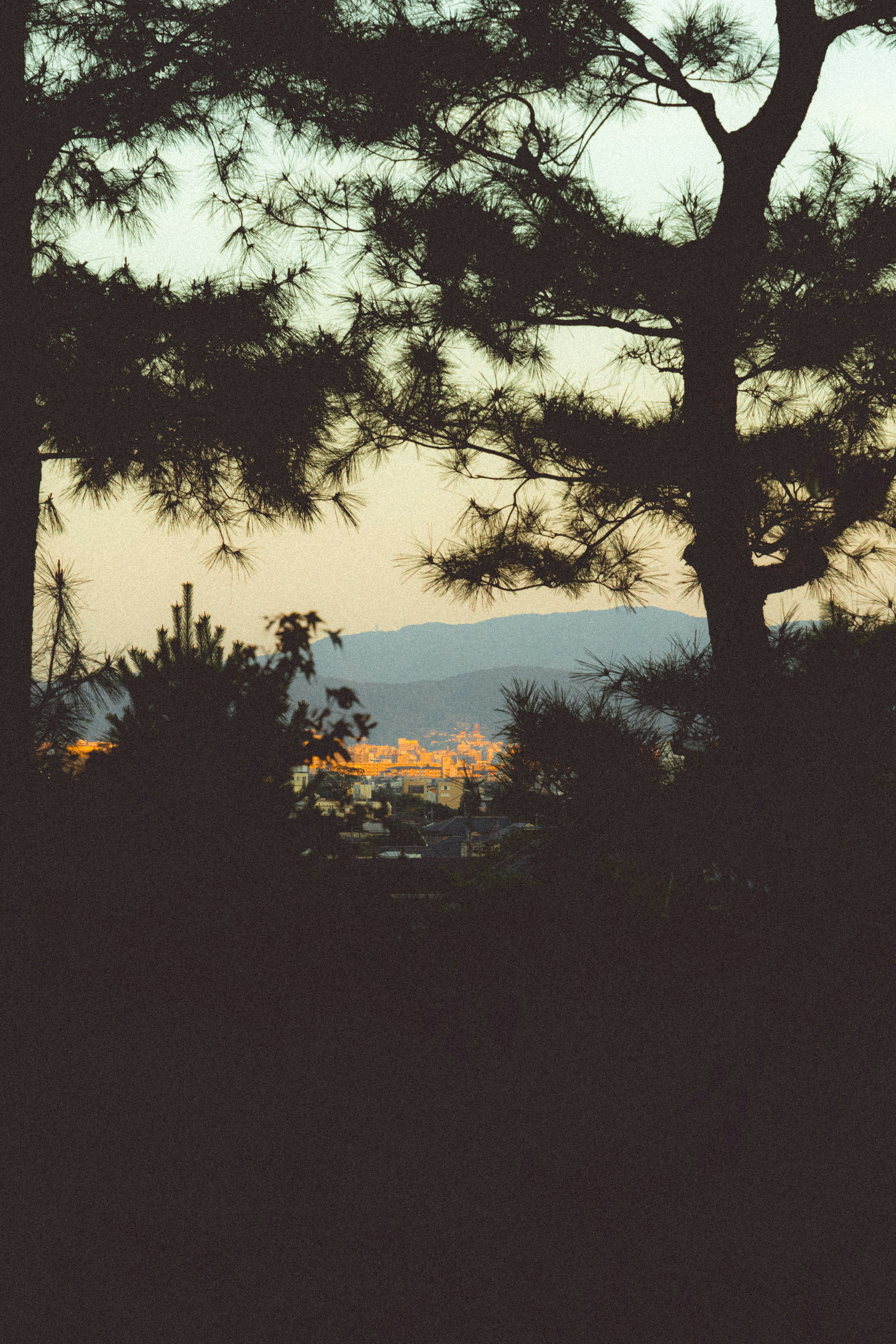 Photo by hiroyukisenn