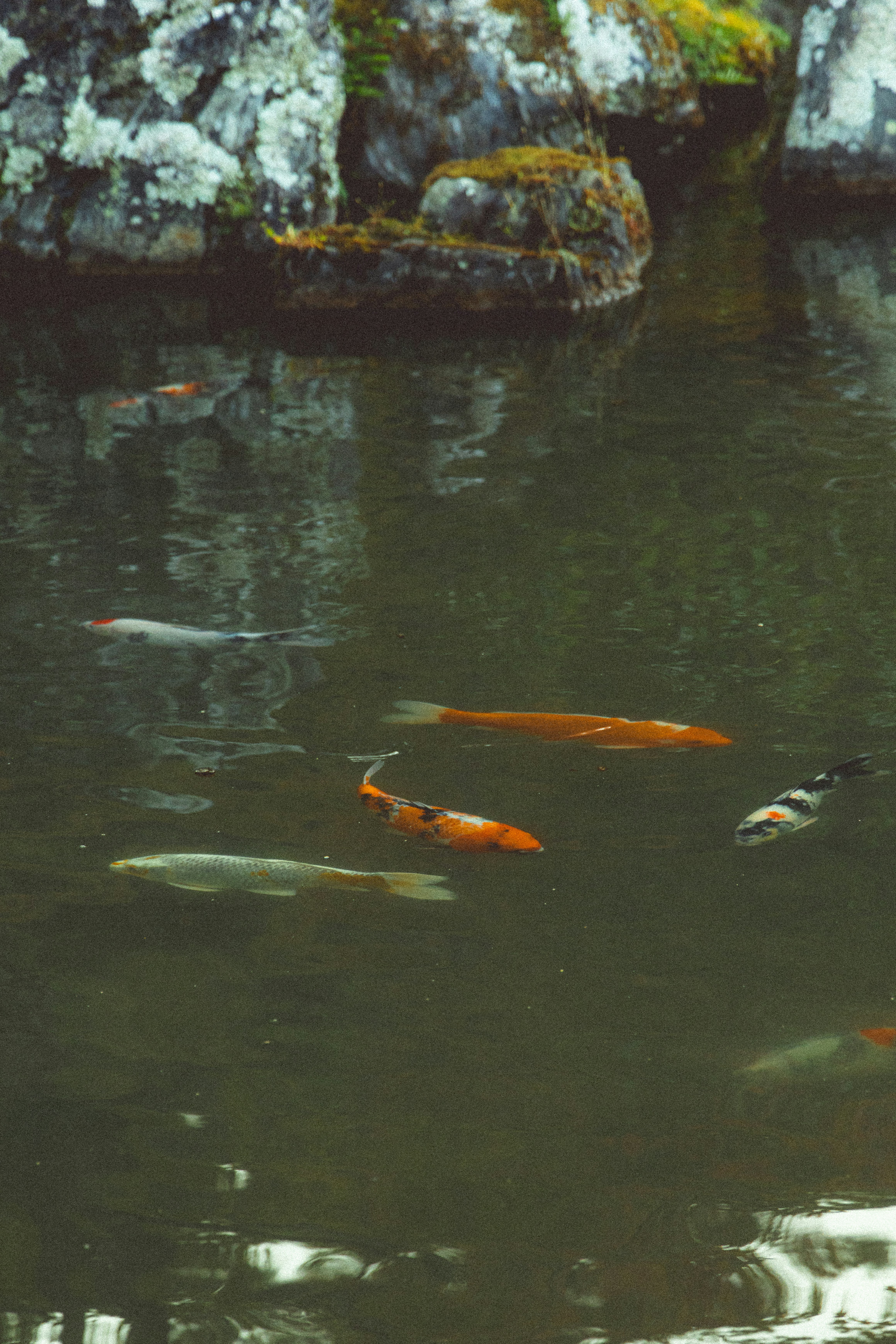 Photo by hiroyukisenn