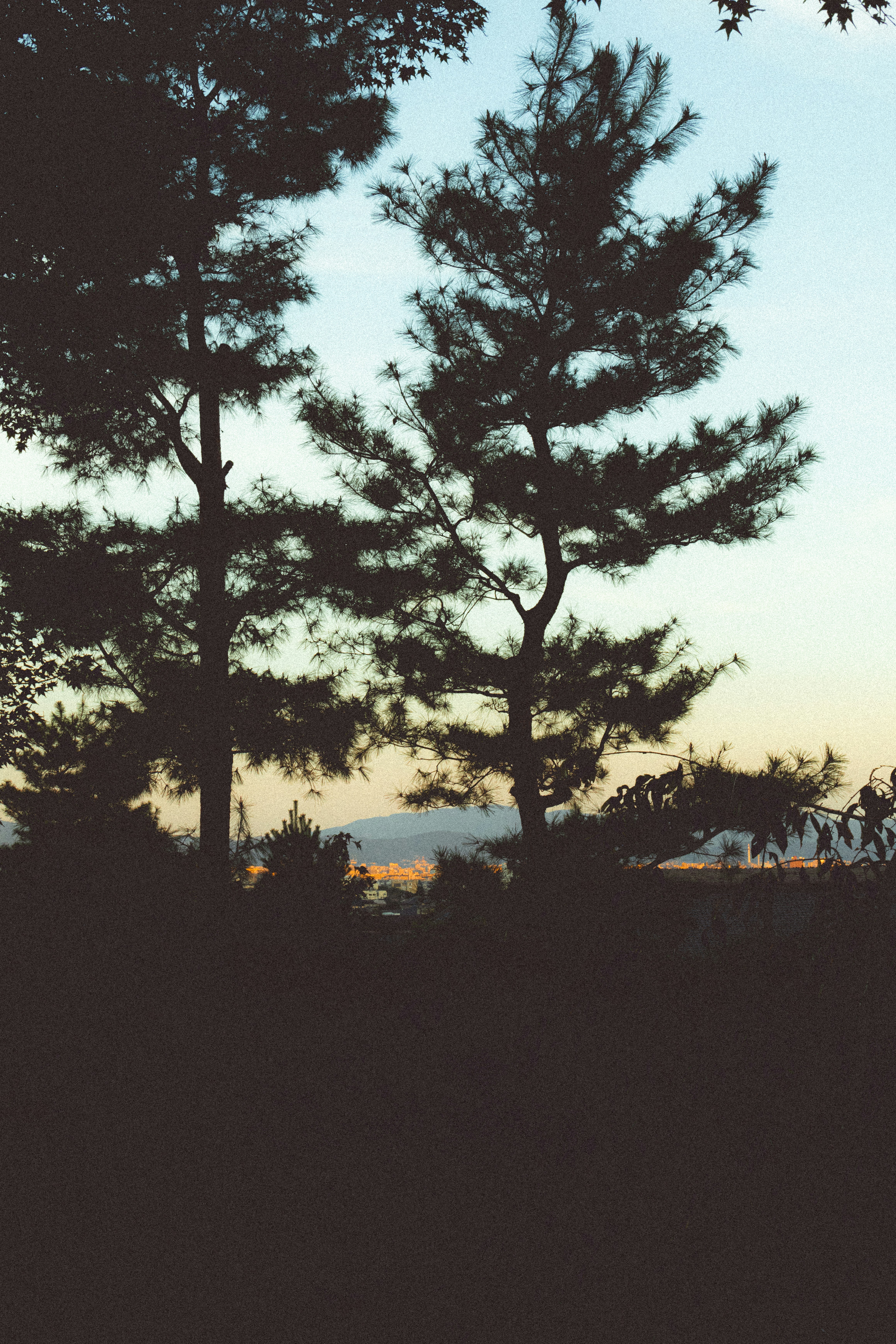 Photo by hiroyukisenn