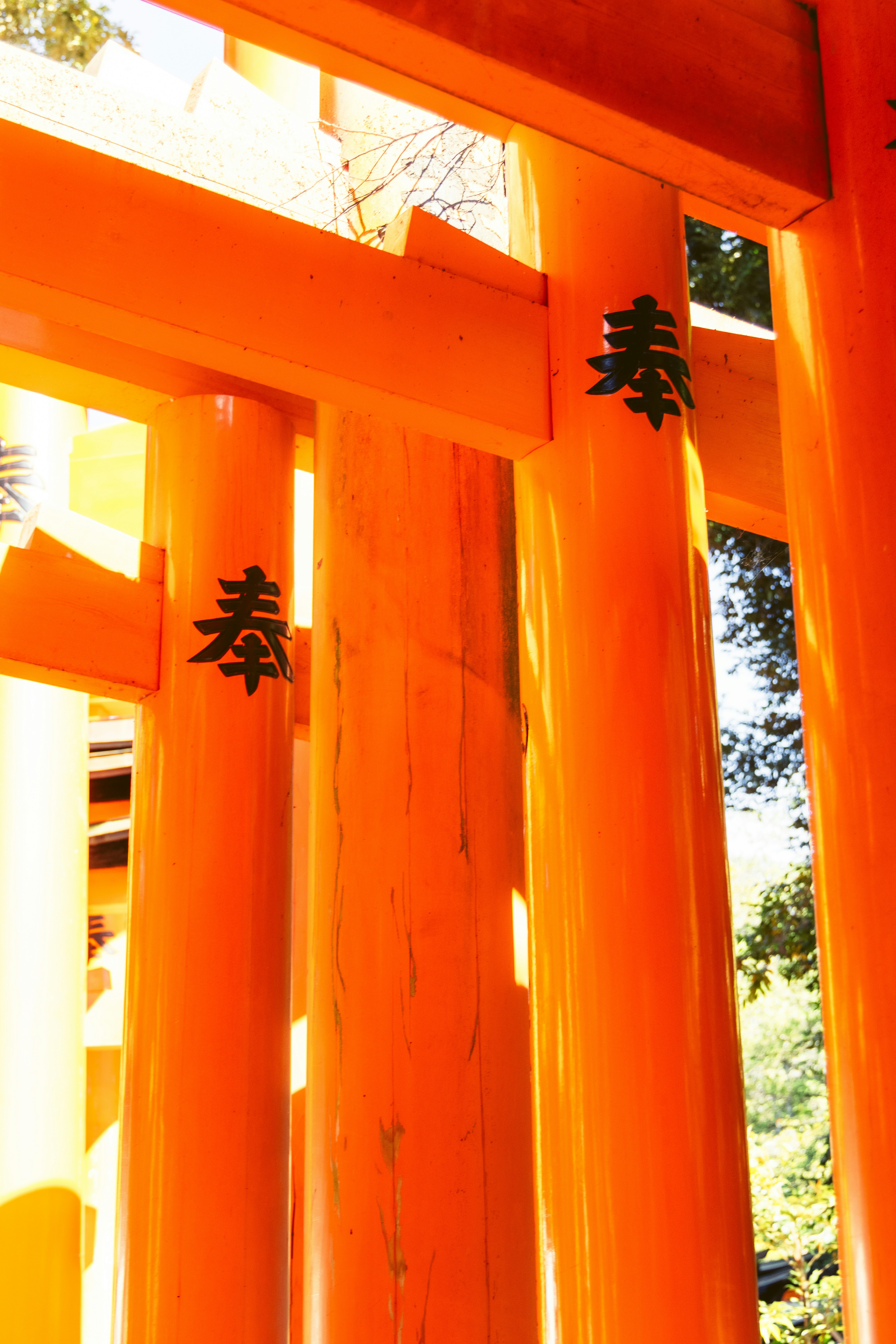 Photo by hiroyukisenn