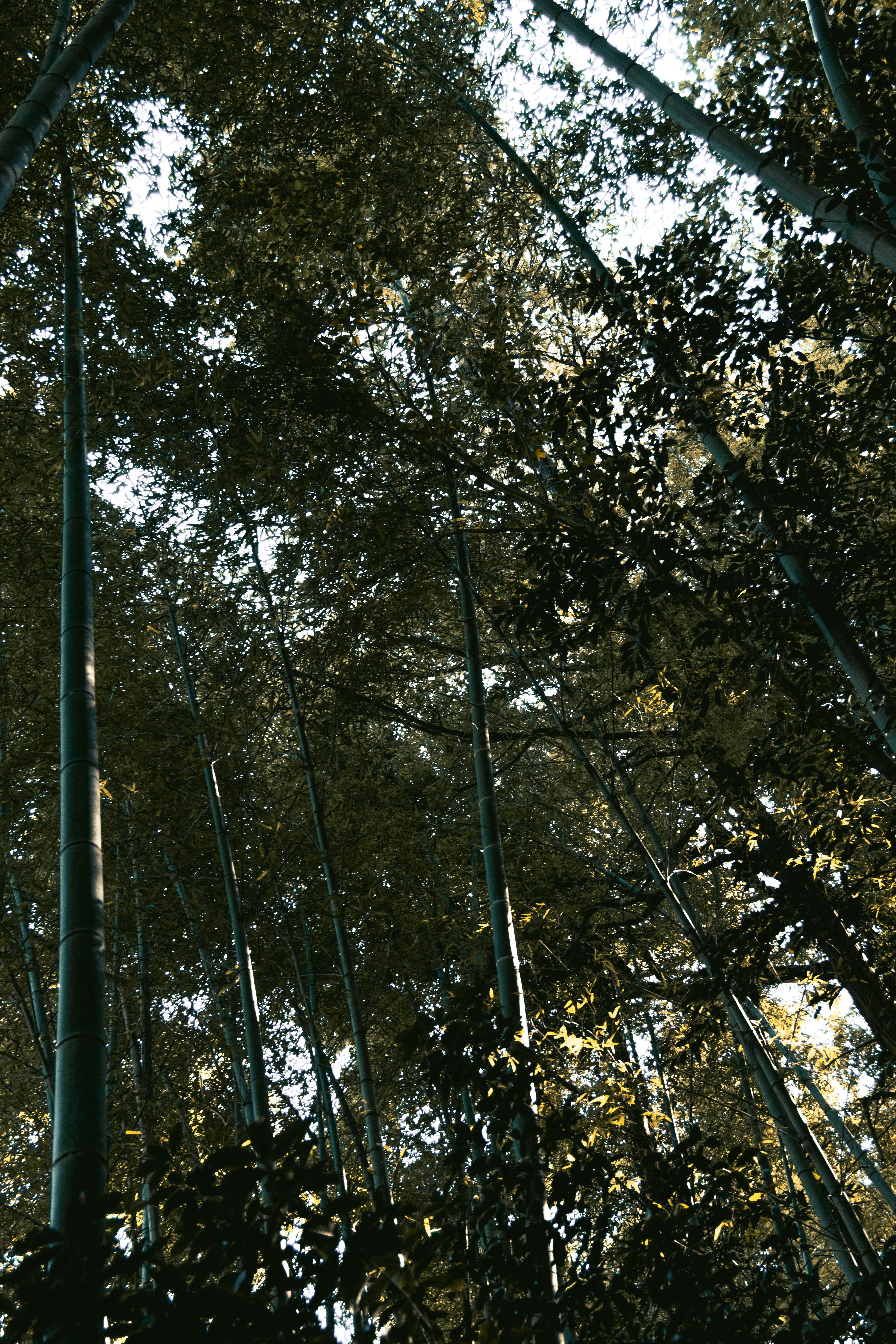 Photo by hiroyukisenn