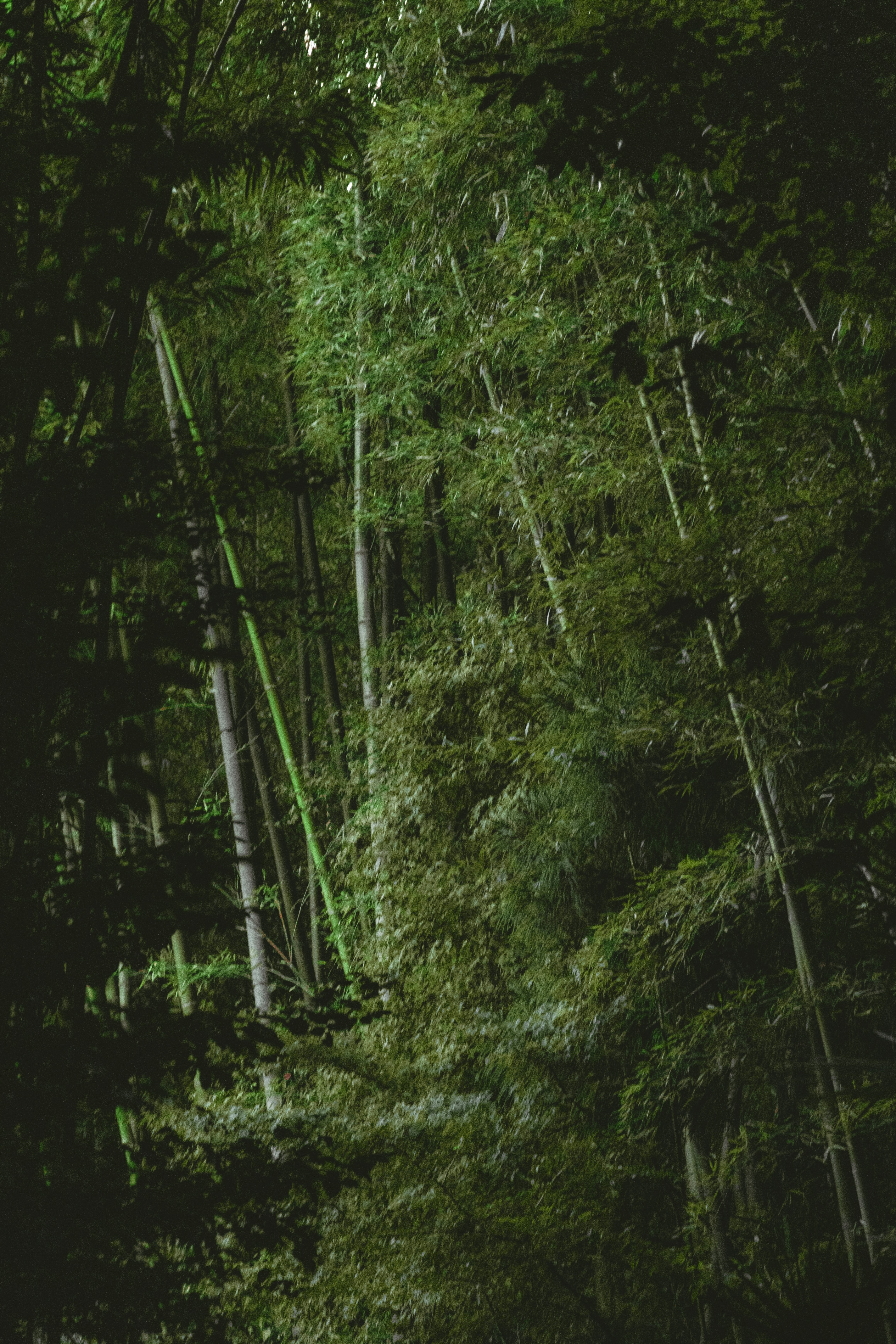 Photo by hiroyukisenn