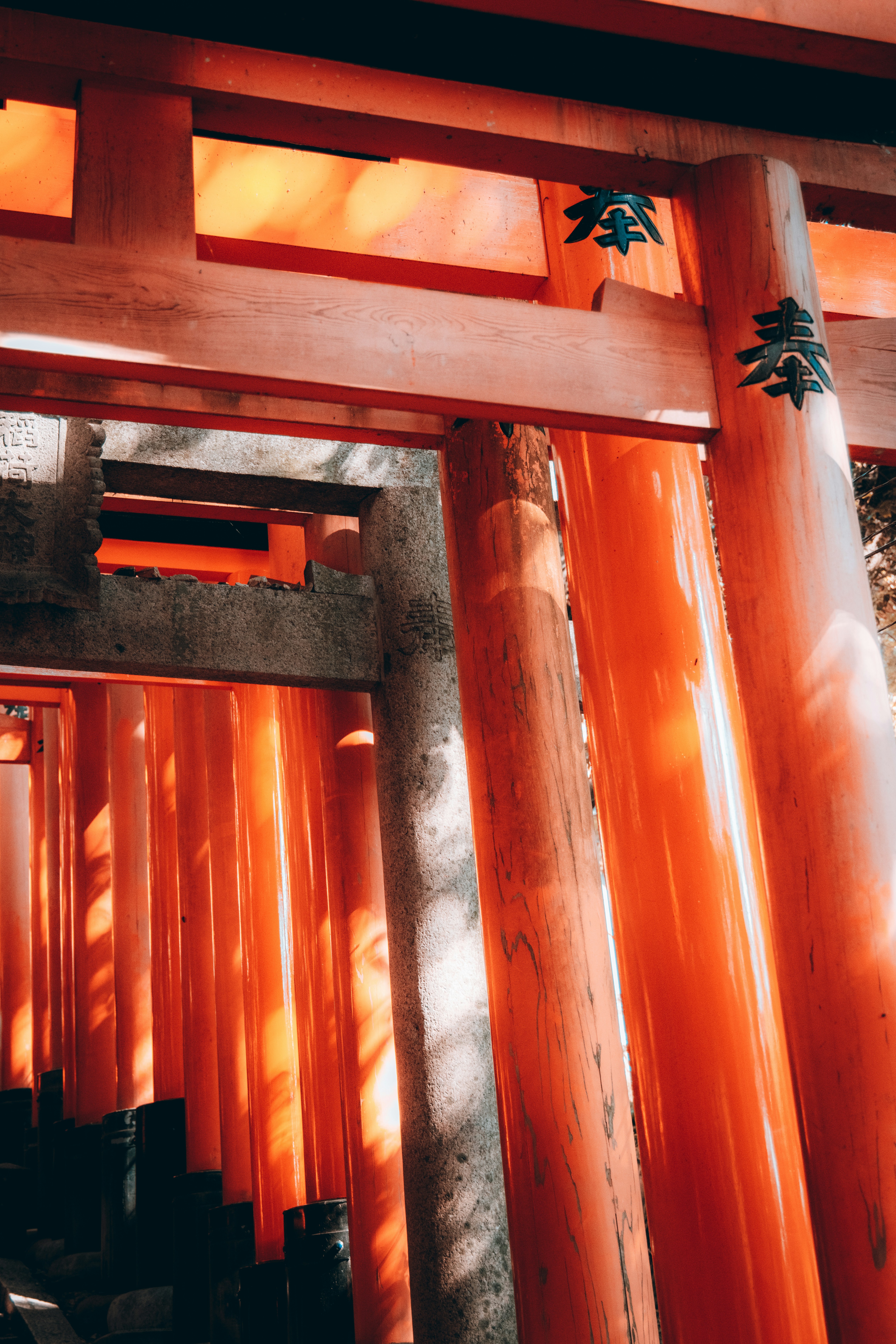 Photo by hiroyukisenn