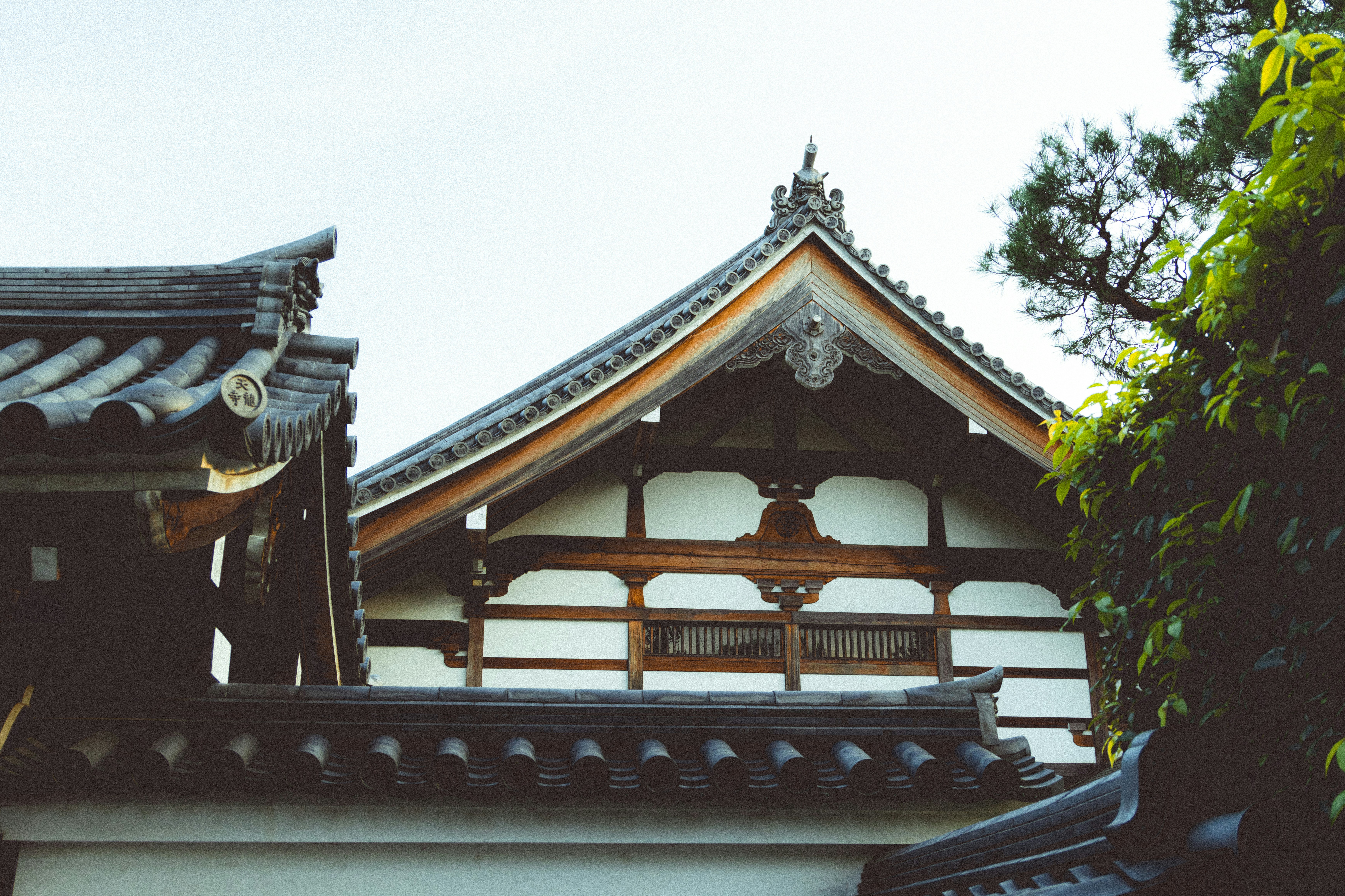 Photo by hiroyukisenn