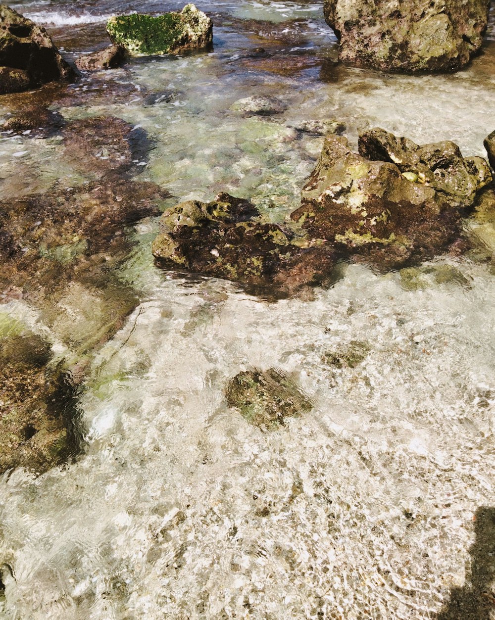 a person sitting on a rock near a body of water