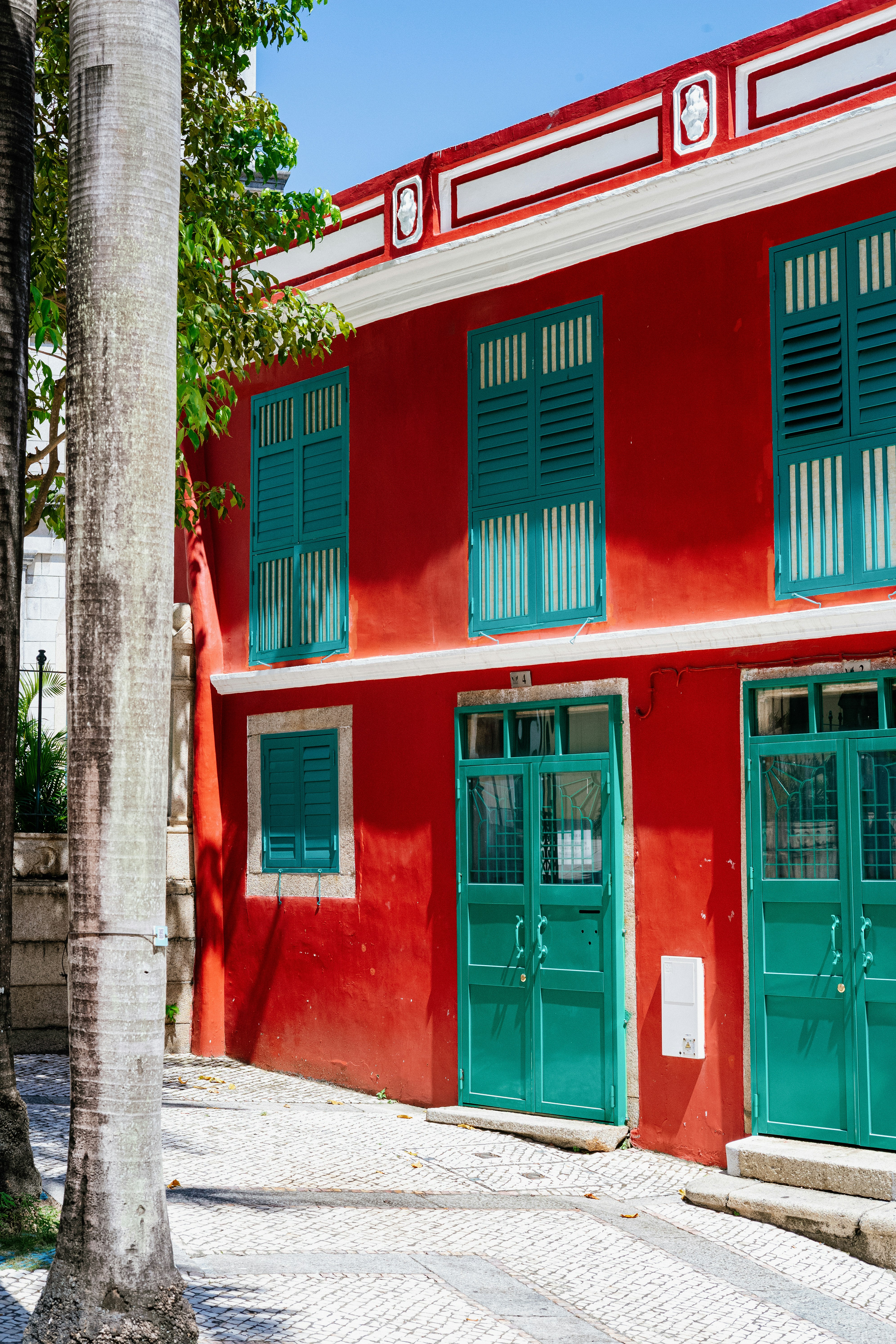 Photo by tommaomaoer