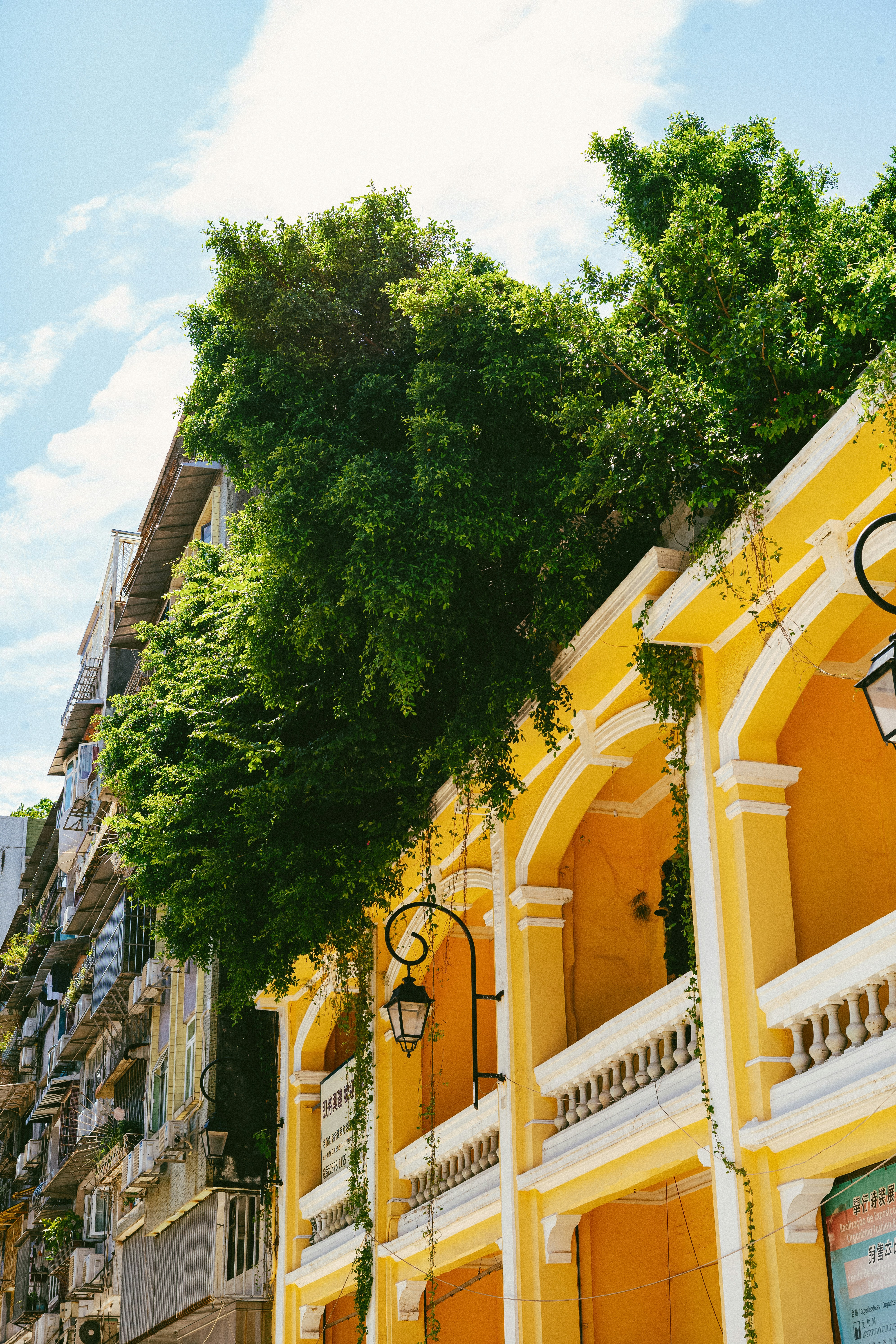 Photo by tommaomaoer