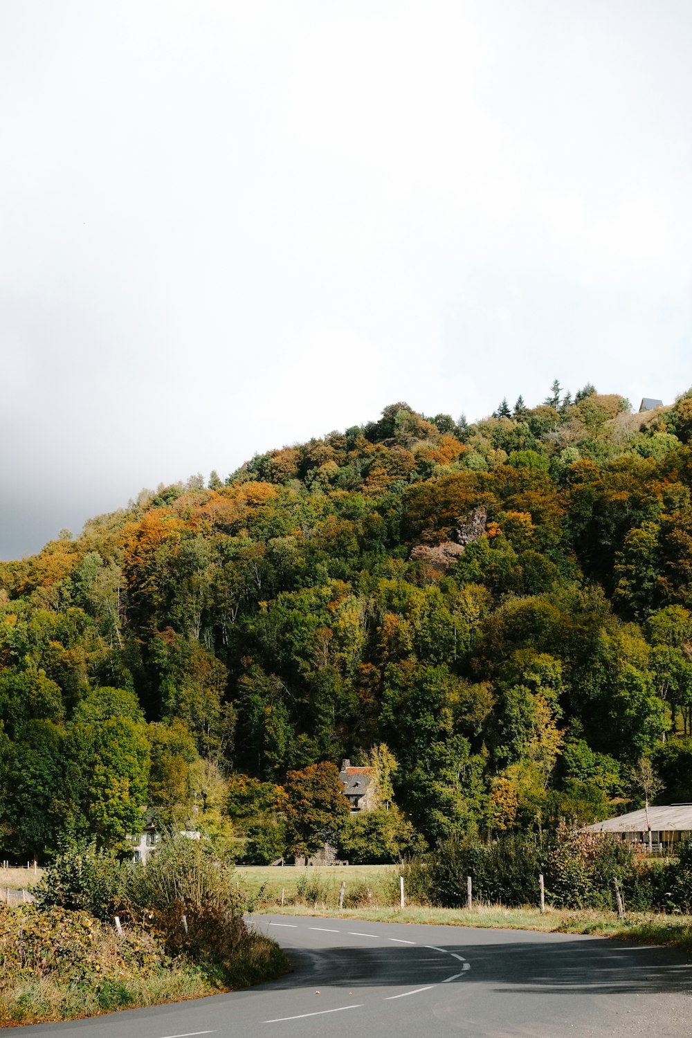 a road with a hill in the background