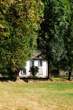 A quaint, two-story house with blue shutters is nestled between towering trees, surrounded by a lush green field. The house has a rustic, charming appearance, with a stone facade and a small grassy area in the foreground.