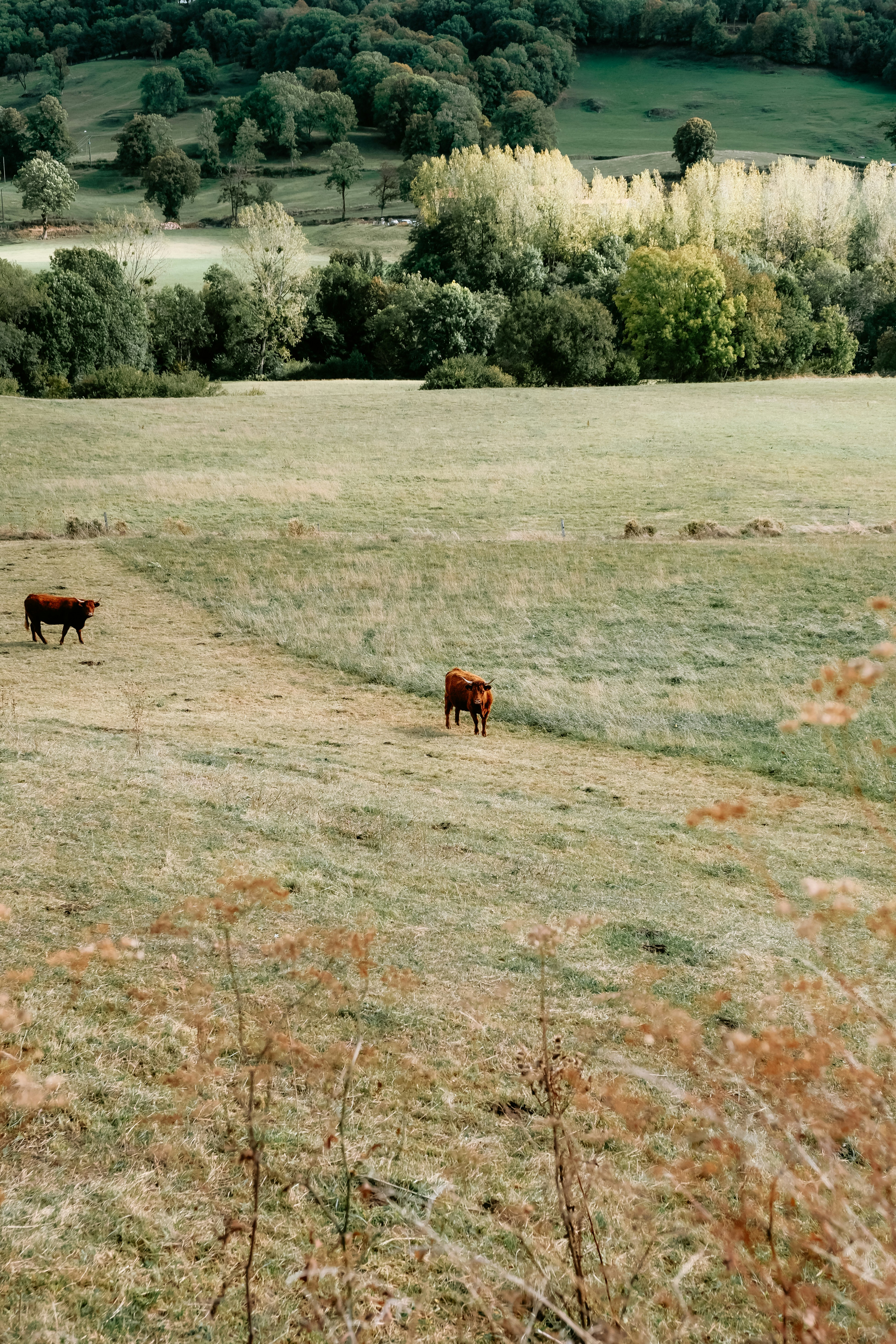 Photo by matreding