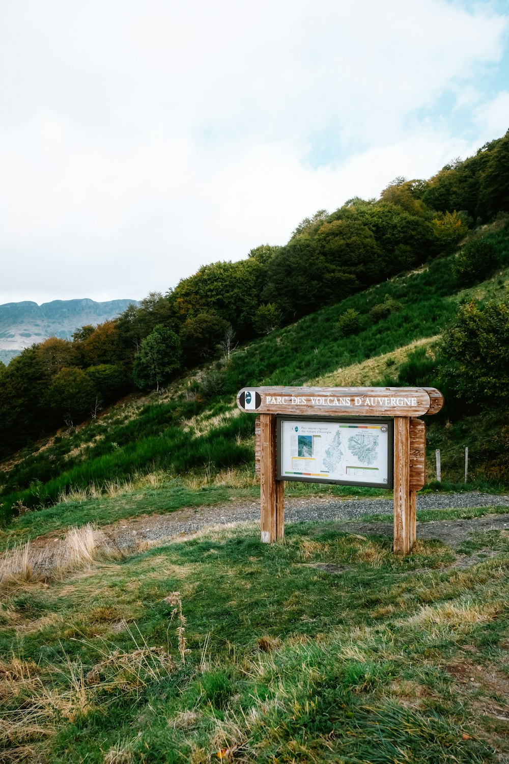 a wooden sign sitting on top of a lush green hillside