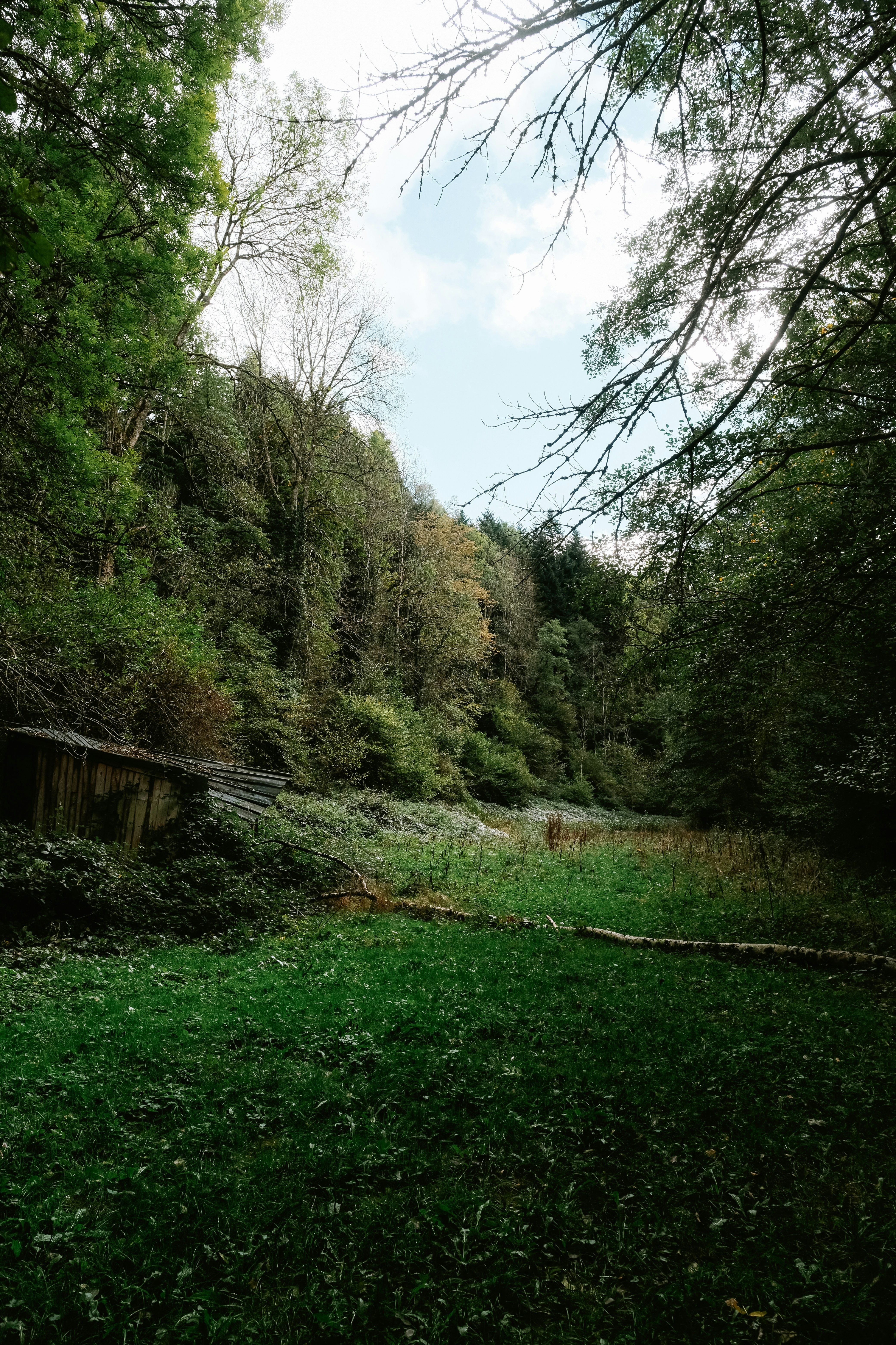Photo by matreding