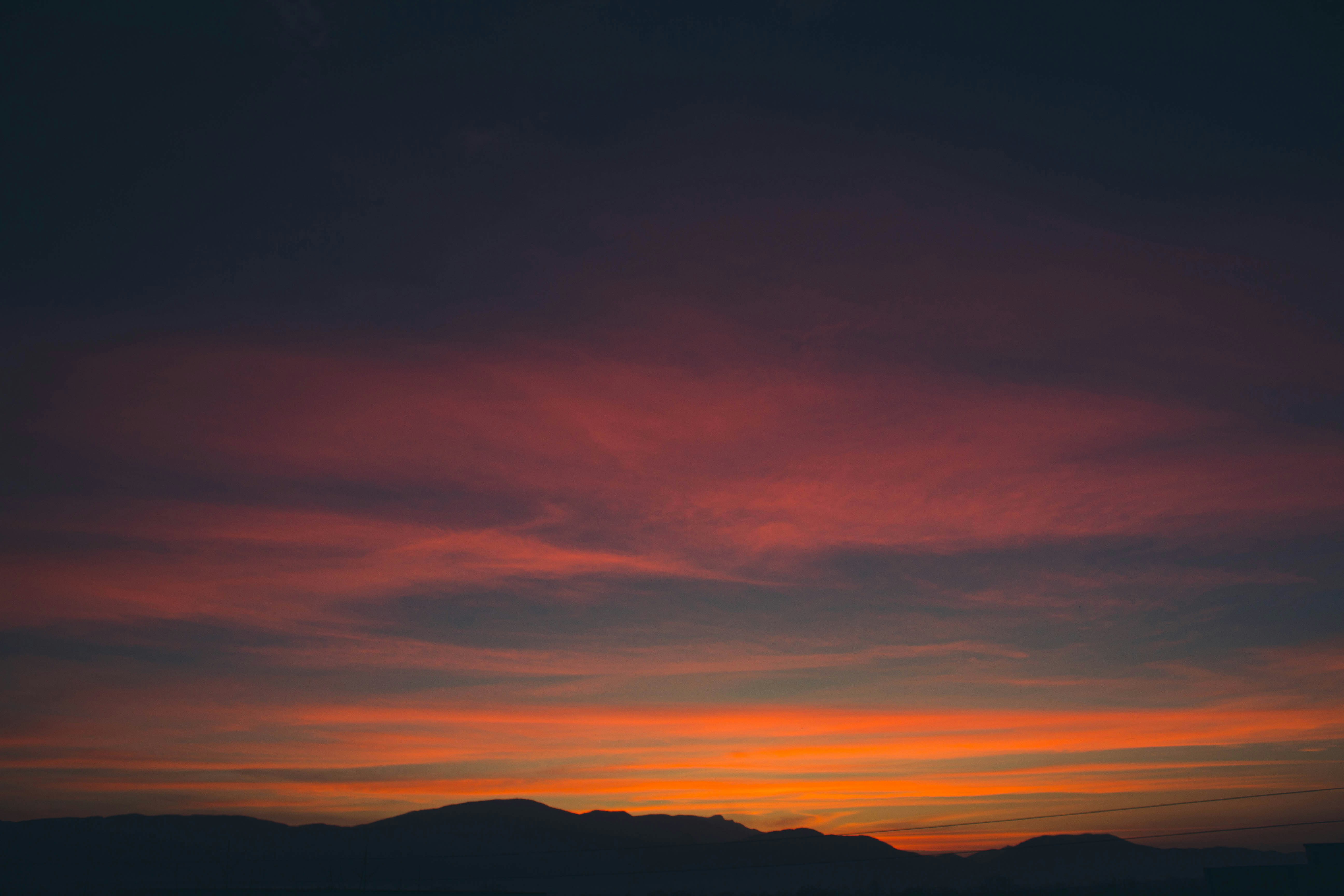 Photo by cosmicgarden