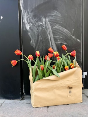 A group of red and yellow tulips arranged in a large beige paper bag is placed on the ground against a dark, chalk-smeared wall. The tulips are fresh and vibrant, creating a colorful contrast with the dark background.