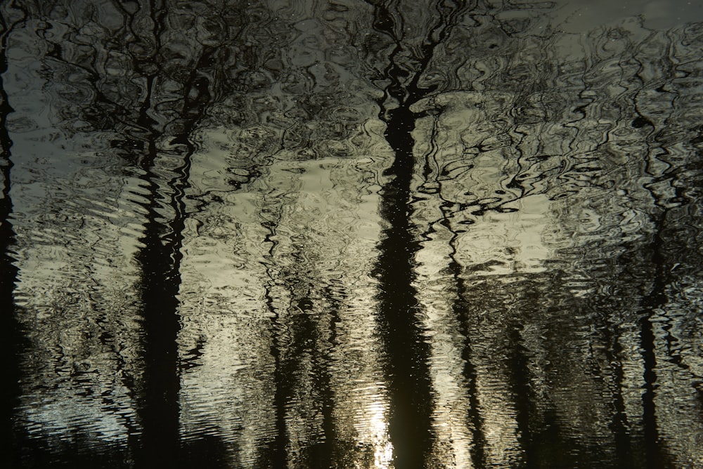 a reflection of trees in the water
