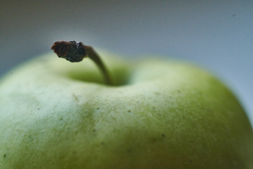 a close up of a green apple with a bug on it