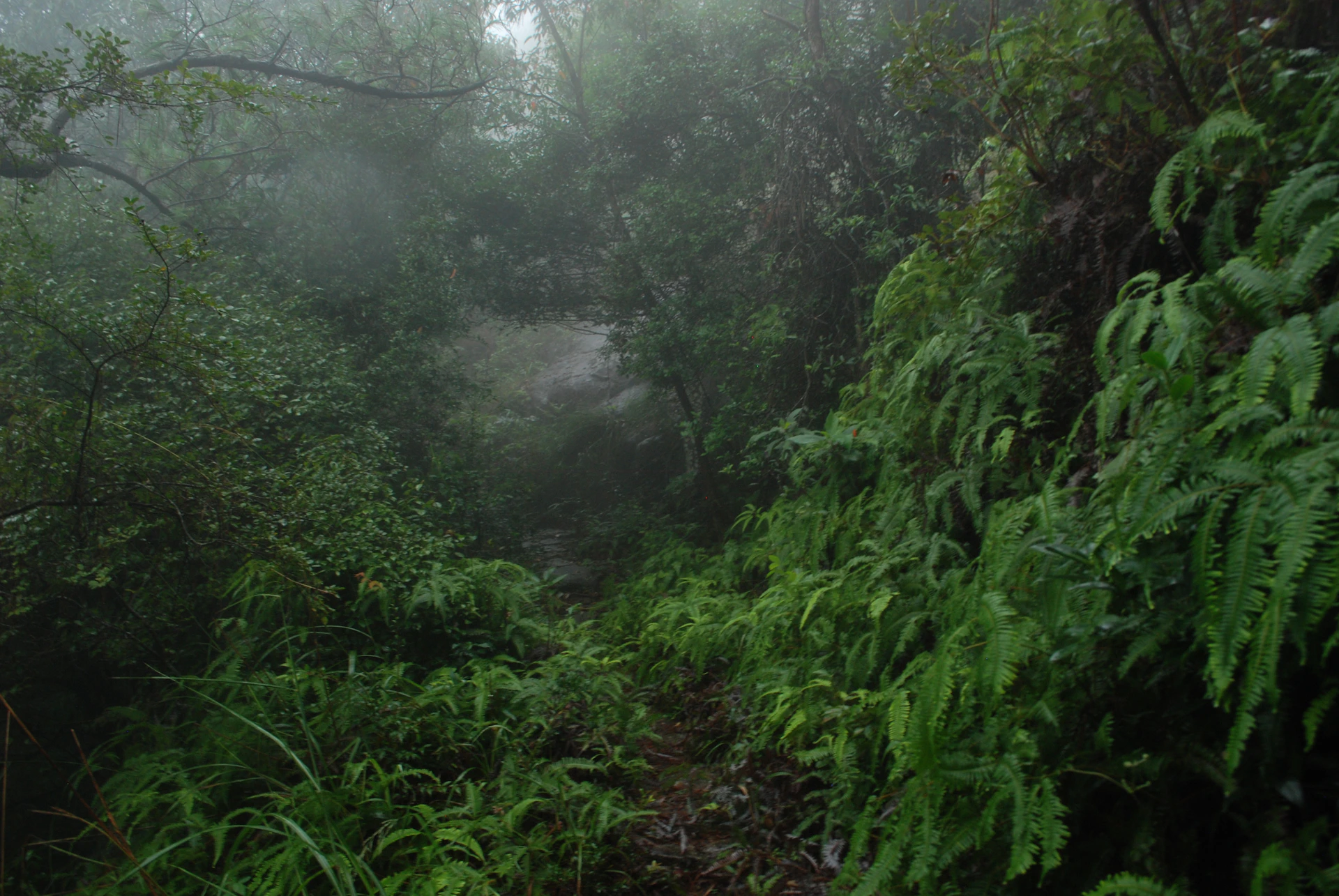 woman wearing yellow long-sleeved dress under white clouds and blue sky during daytime