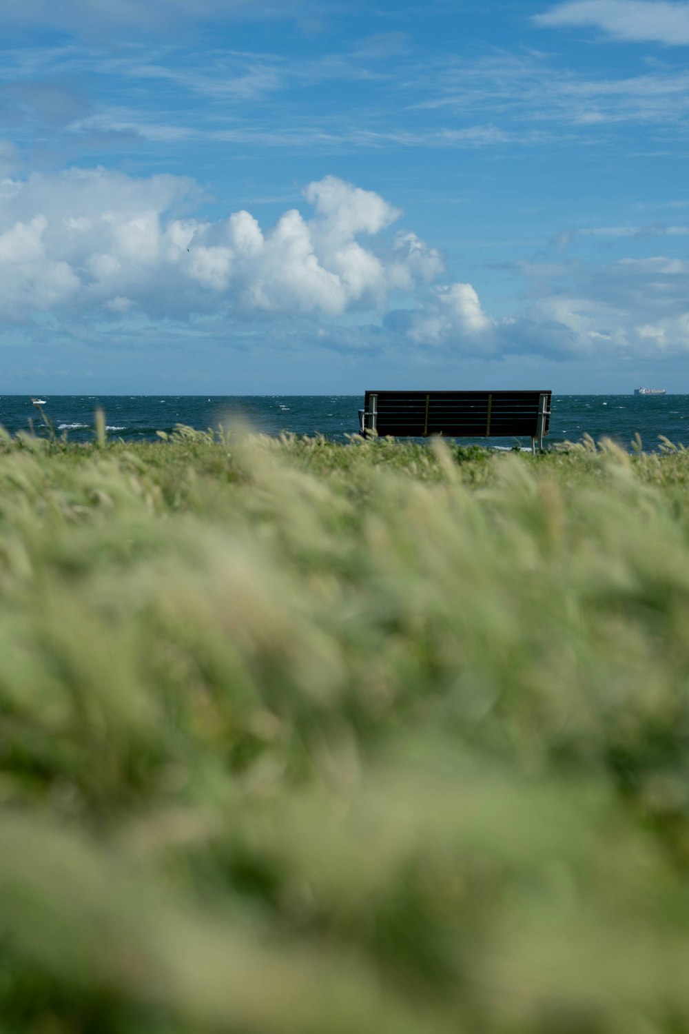 a bench sitting in the middle of a grassy field