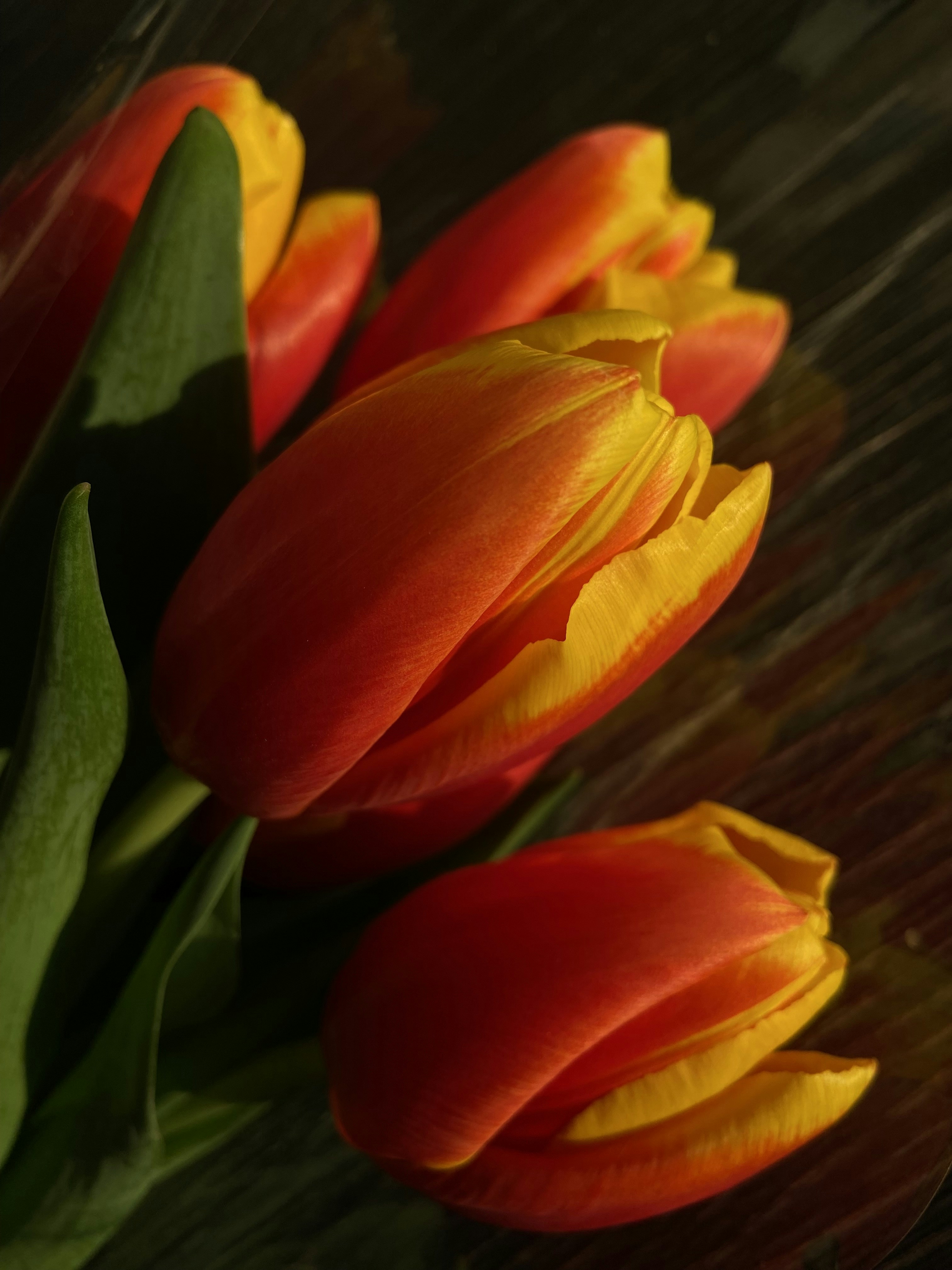 Photo by sophia_borisova