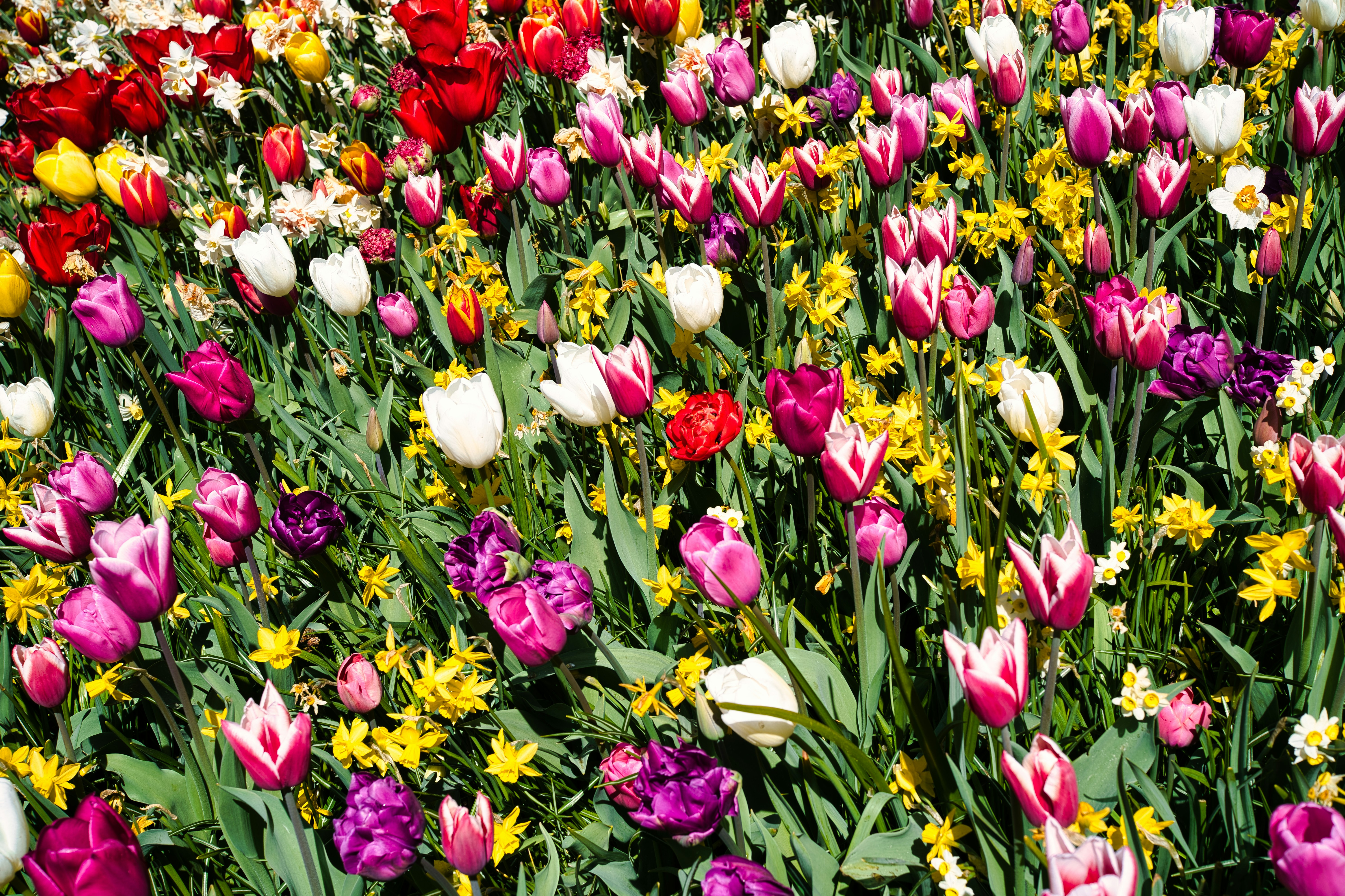 Photo by maksimshutov