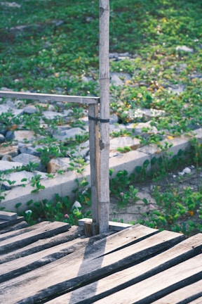 Wooden boards form a small rustic deck or pathway in a green, outdoor setting, featuring a simple bamboo railing tied together with a dark band. The ground below is covered in lush vegetation with small, colorful flowers visible among the leaves.